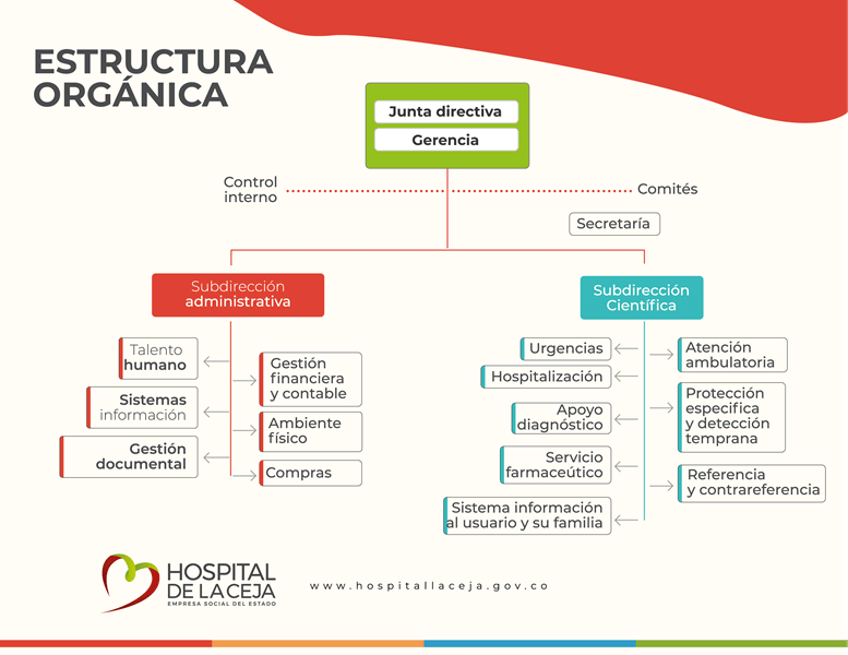 organigrama ceja